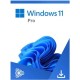 MS Windows 11 Pro