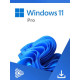 Microsoft Windows 11 Pro/Home